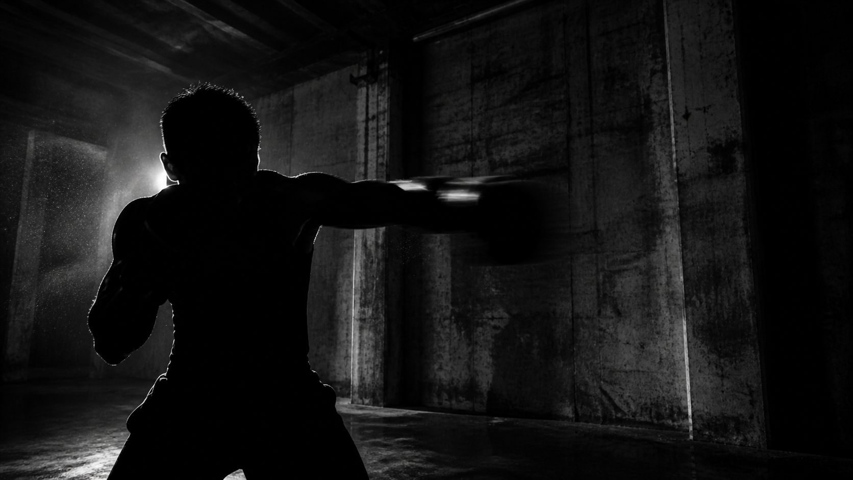BLVDE Heavy Boxing Gloves